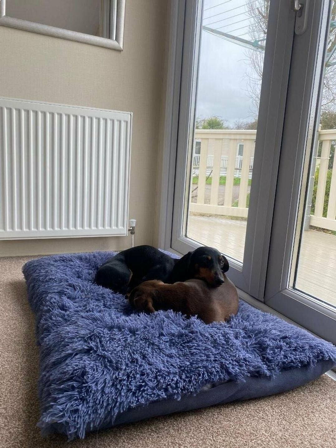 Seal Bay Resort - Holiday Accommodation 18908