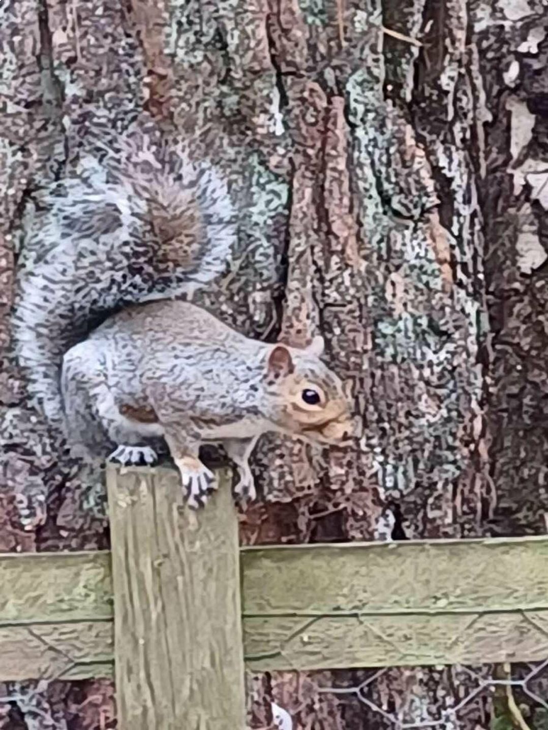 Kelling Heath Holiday Park - Holiday Accommodation 18994