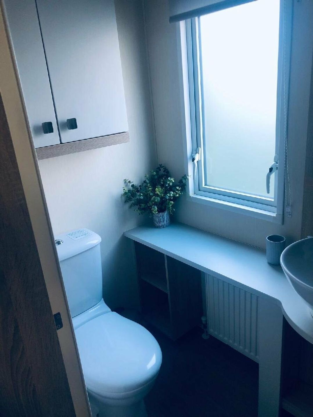 Burnham-on-Sea Holiday Park - Holiday Accommodation 19109