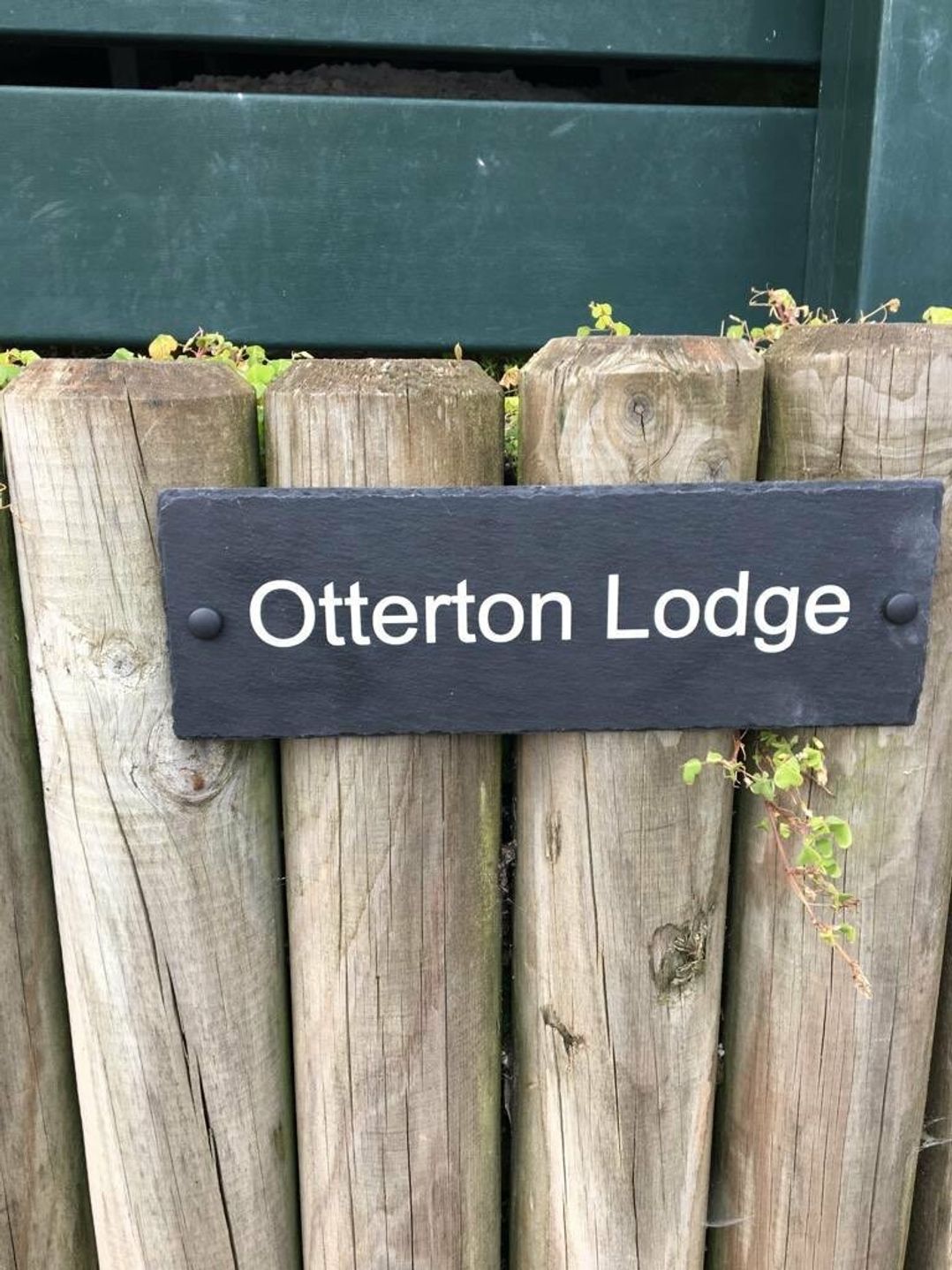 Ladram Bay Holiday Park - Holiday Accommodation 19229