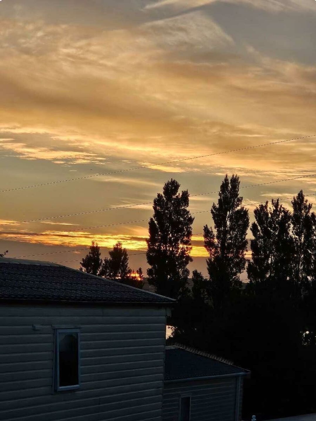 Rockley Park - Holiday Accommodation 19312