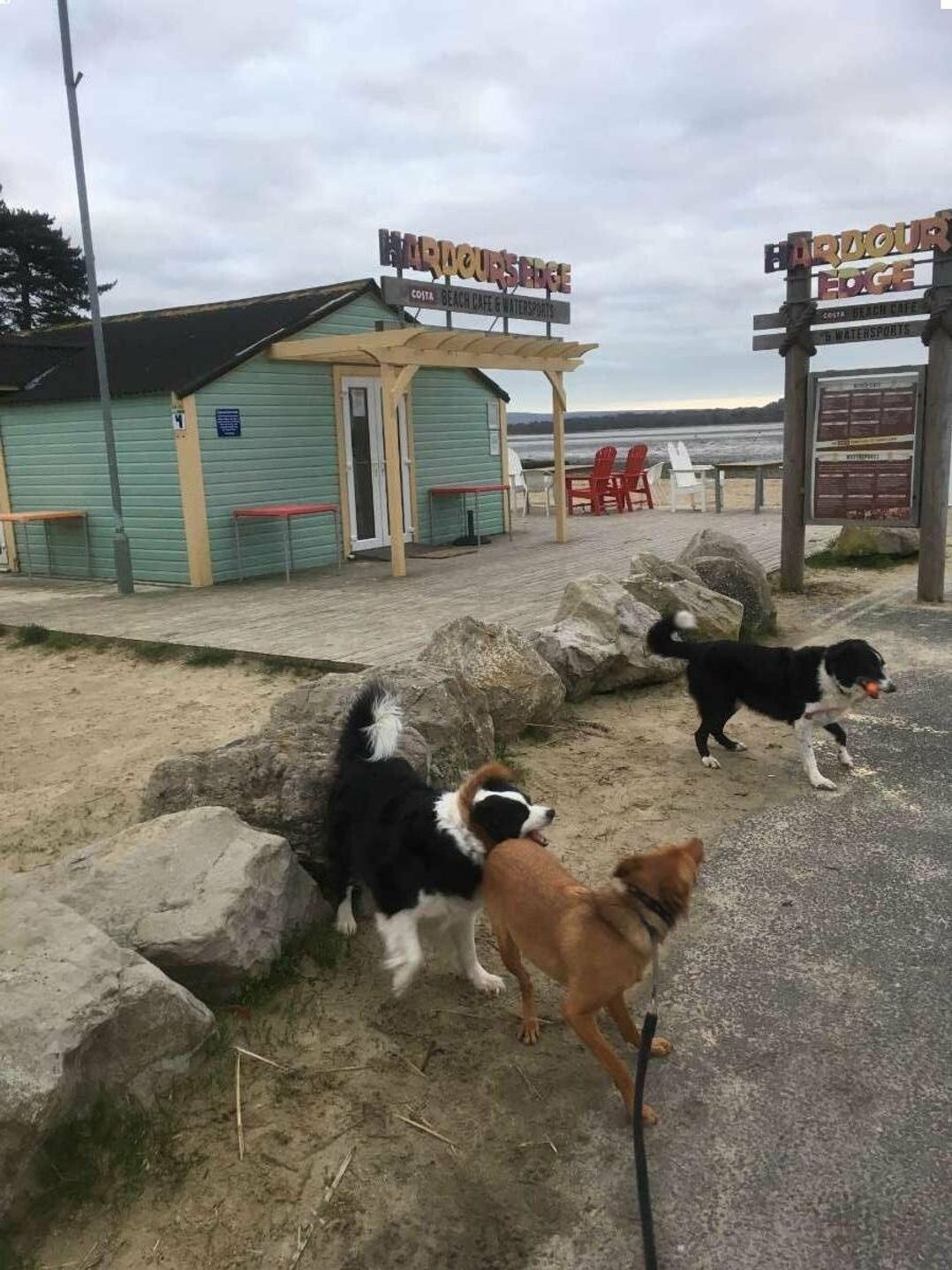 Rockley Park - Holiday Accommodation 19374