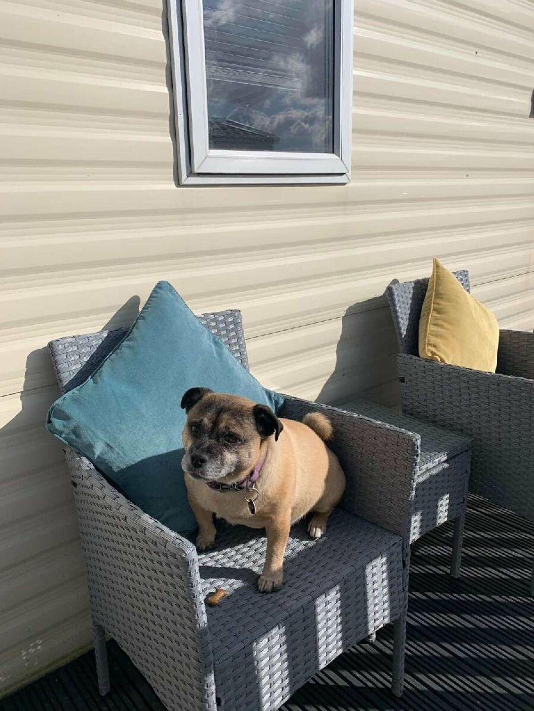 7 Lakes Country Park - Holiday Accommodation 19884