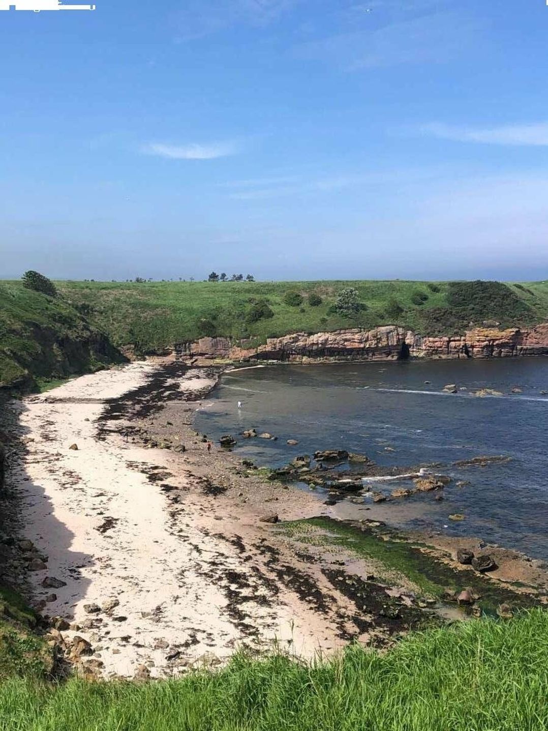 Berwick Holiday Park - Holiday Accommodation 20041