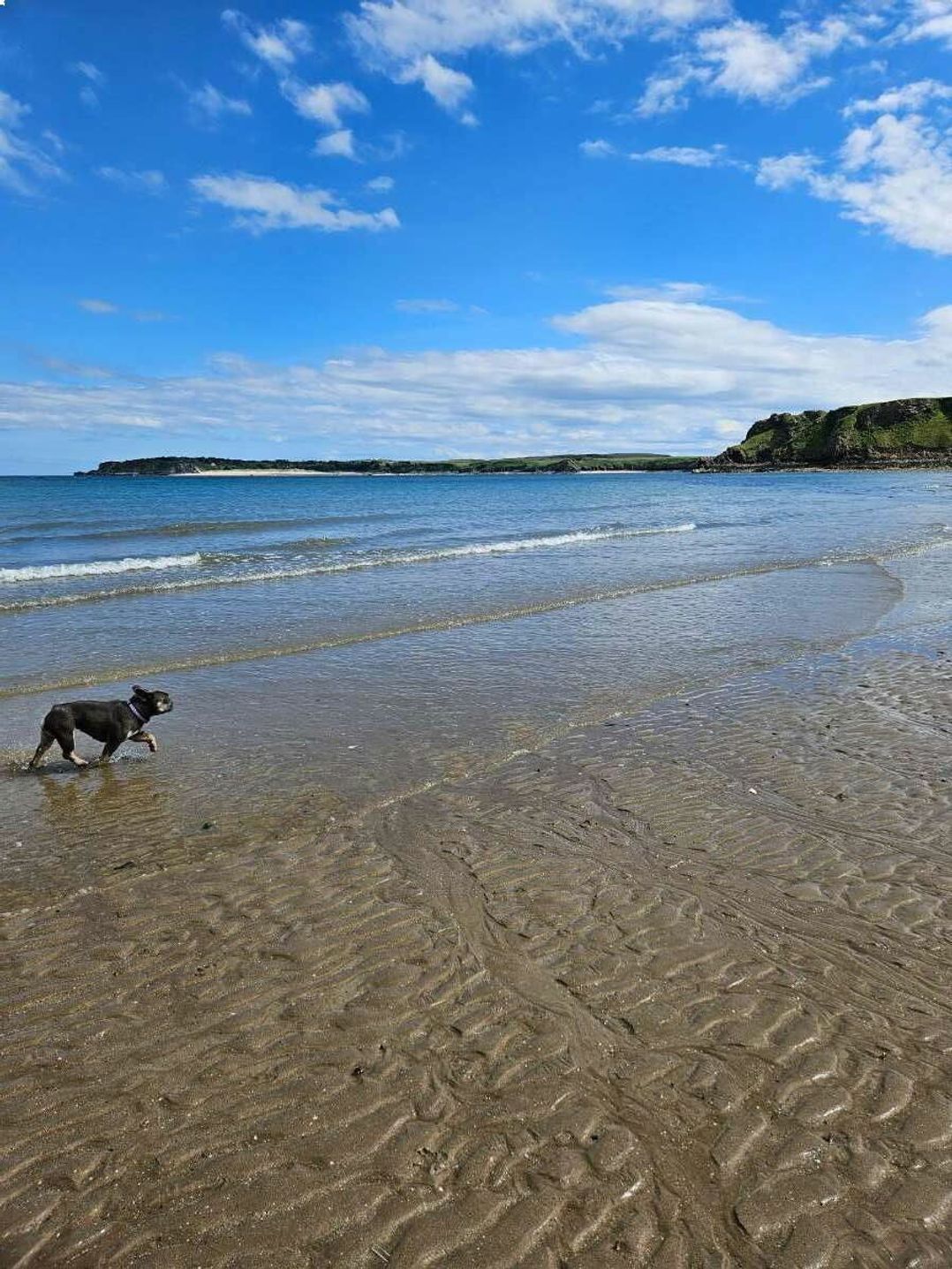 Penally Court - Holiday Accommodation 20194