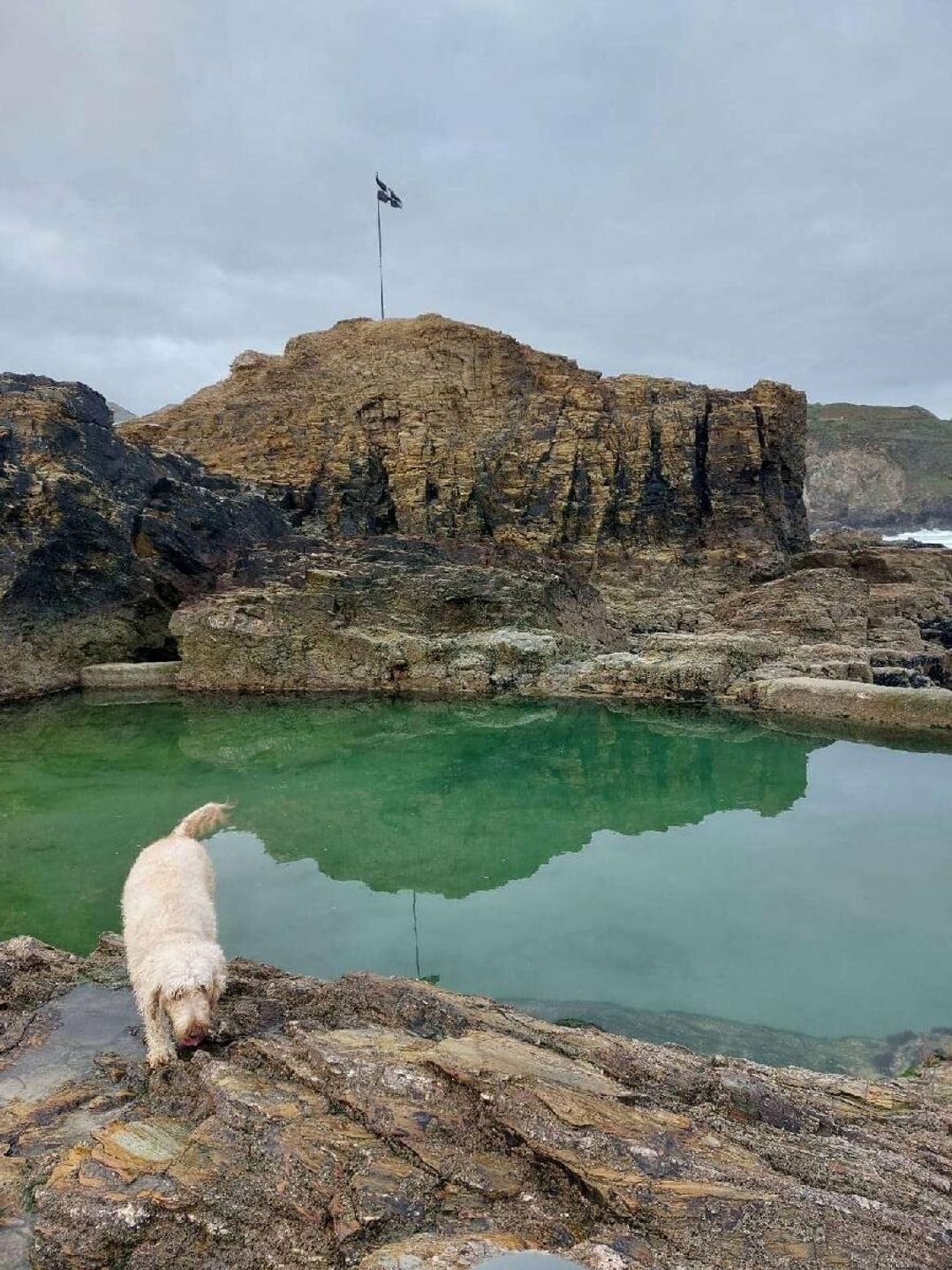 Liskey Hill Caravan Park - Holiday Accommodation 20197