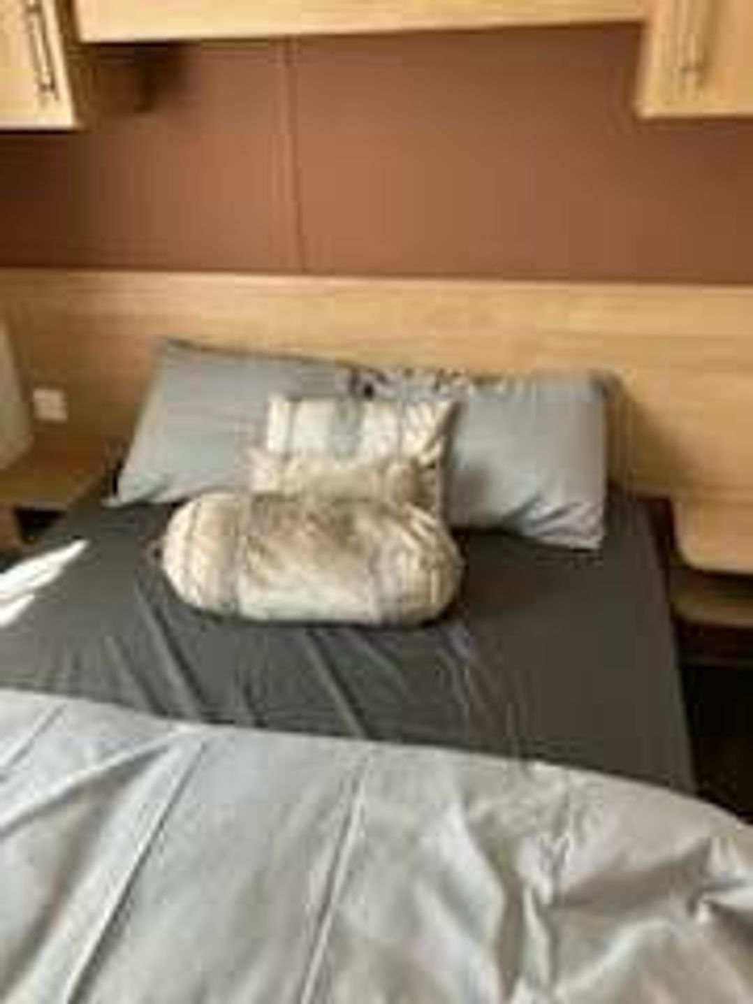 Hayling Island Holiday Park - Meadow Bay Villages - Holiday Accommodation 20391