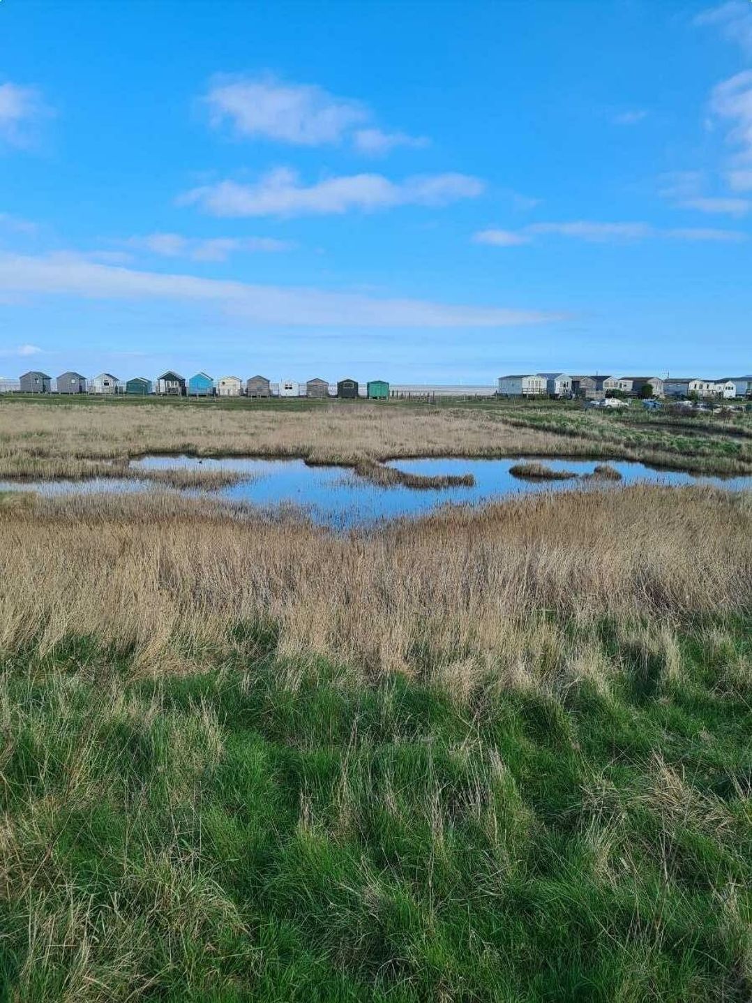 Alberta Holiday Park - Holiday Accommodation 20653