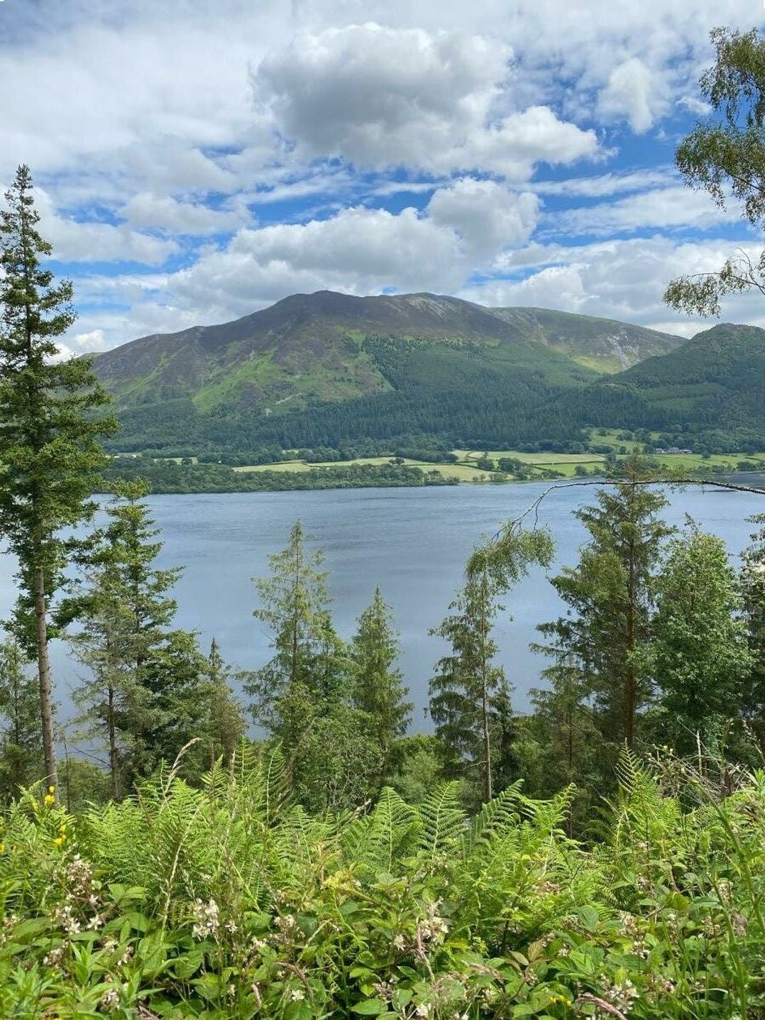 Brigham Holiday Park - Holiday Accommodation 20879