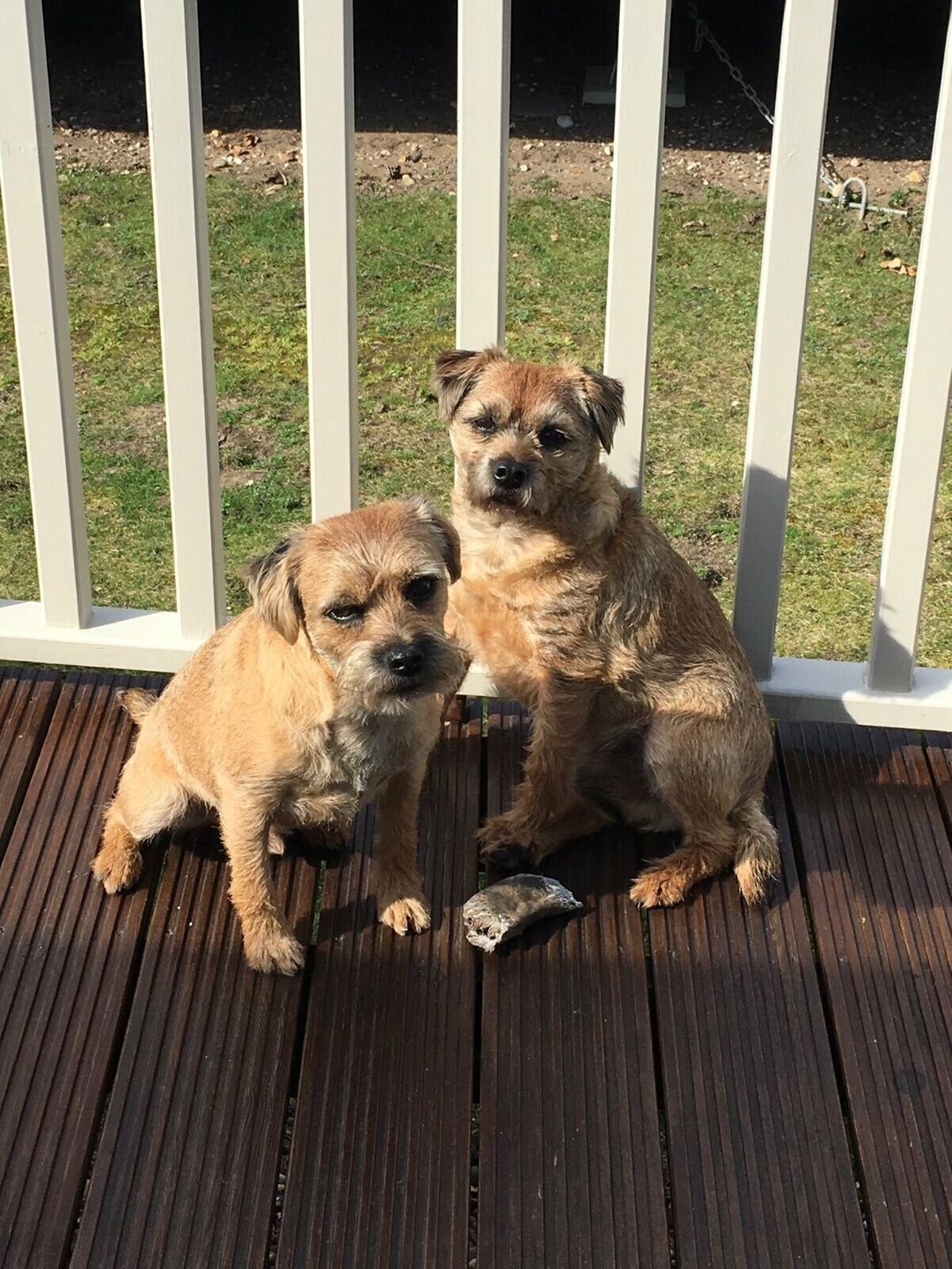 Pinewoods Holiday Park - Holiday Accommodation 2088