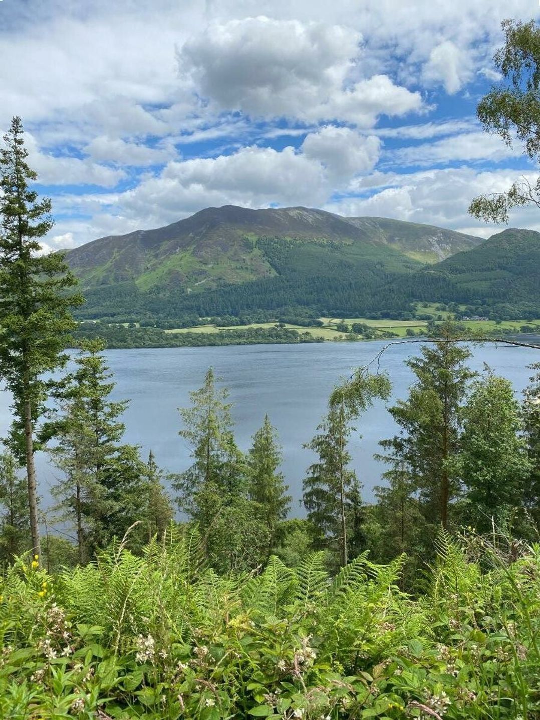 Brigham Holiday Park - Holiday Accommodation 20892