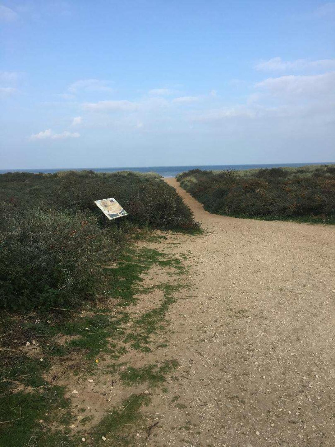 Golden Sands - Holiday Accommodation 20928