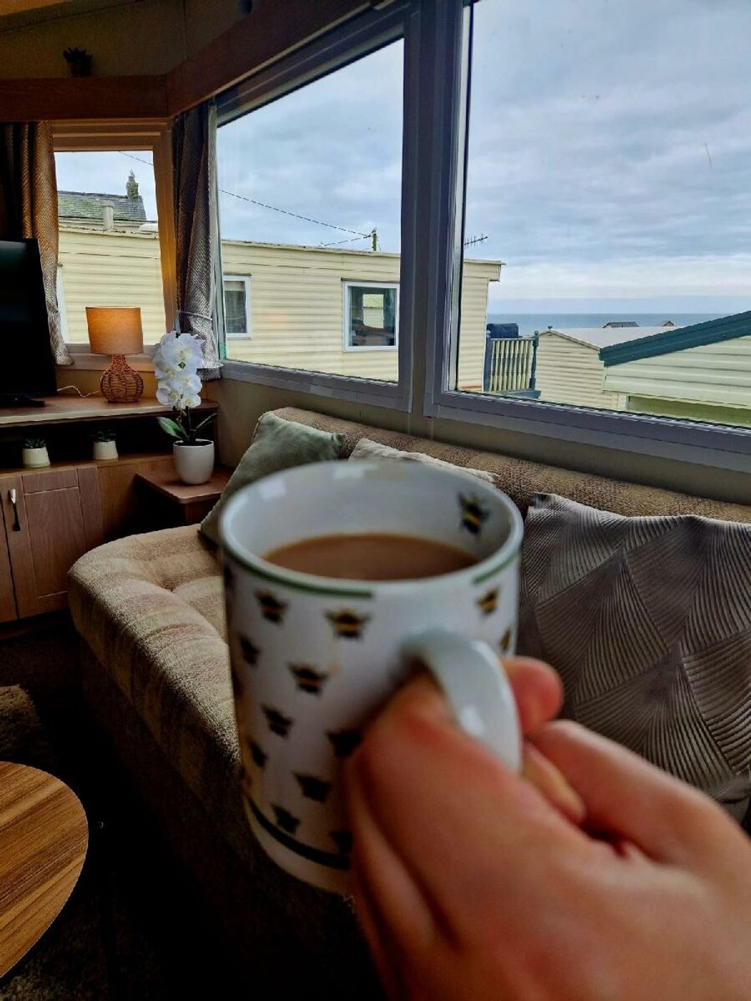 Clarach Bay Holiday Village - Holiday Accommodation 20943