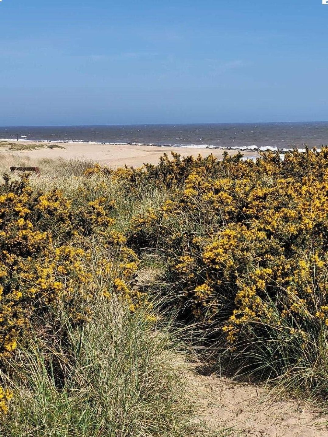 Caister Holiday Park - Holiday Accommodation 2106