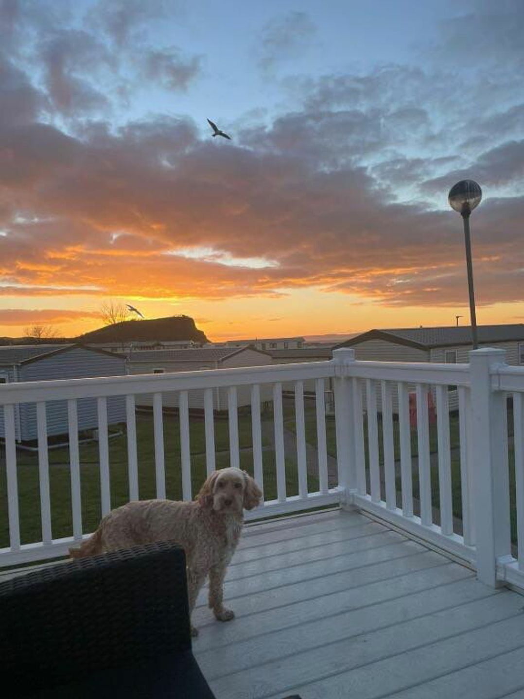 Craig Tara Holiday Park - Holiday Accommodation 21190