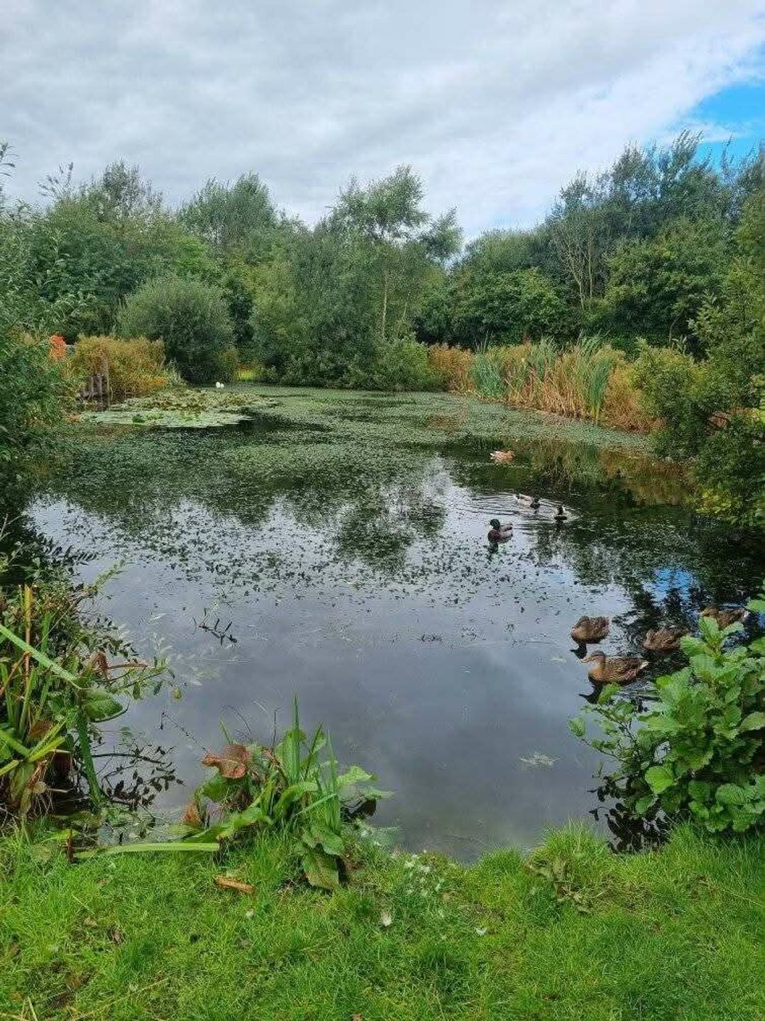 Hopton Holiday Village - Holiday Accommodation 21302