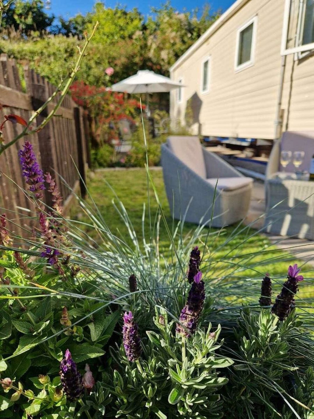 Bryn Morfa - Holiday Accommodation 21316