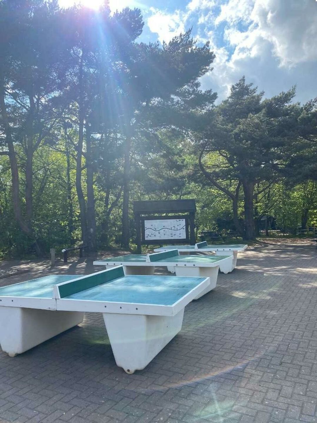 Kelling Heath Holiday Park - Holiday Accommodation 21324