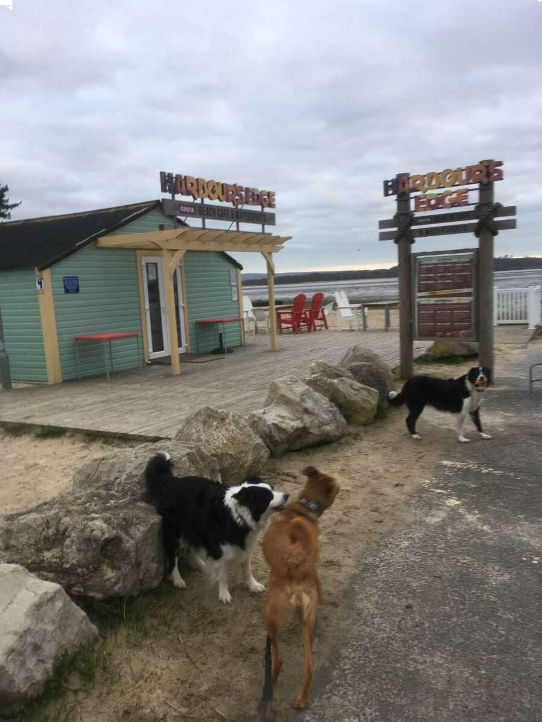 Rockley Park - Holiday Accommodation 21353