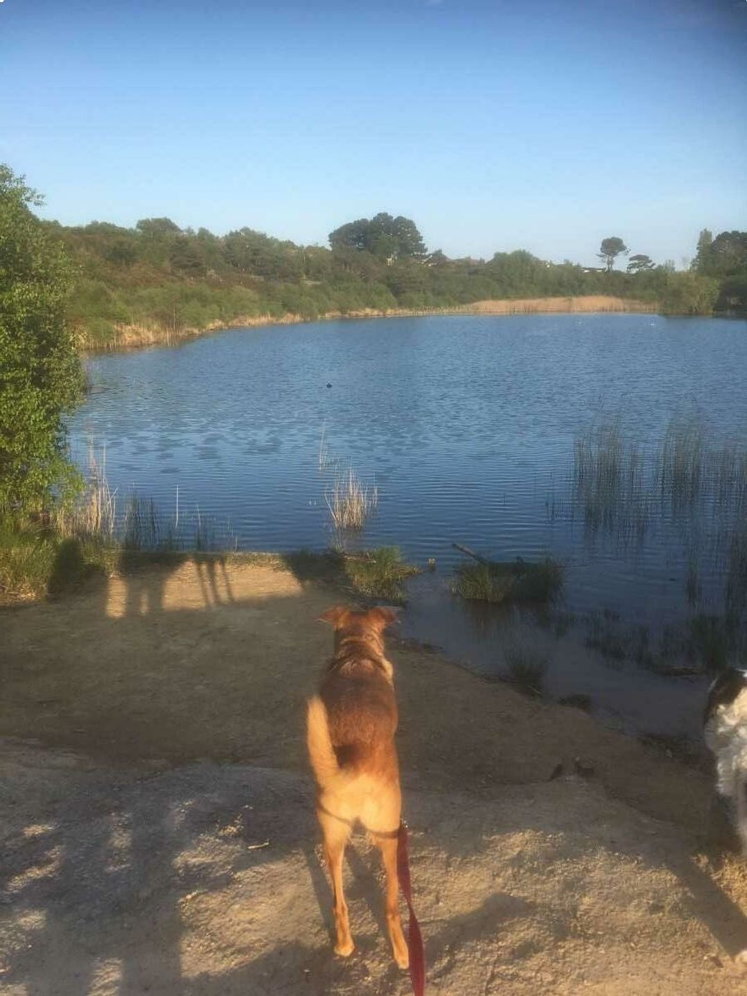 Rockley Park - Holiday Accommodation 21353