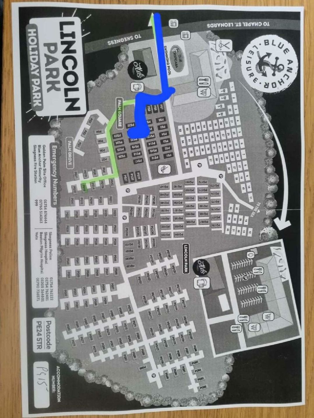 Golden Palm Resort - Holiday Accommodation 21364