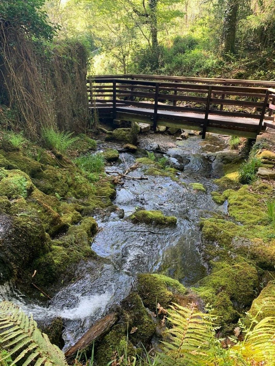 Aberdunant Hall Holiday Park - Holiday Accommodation 21450