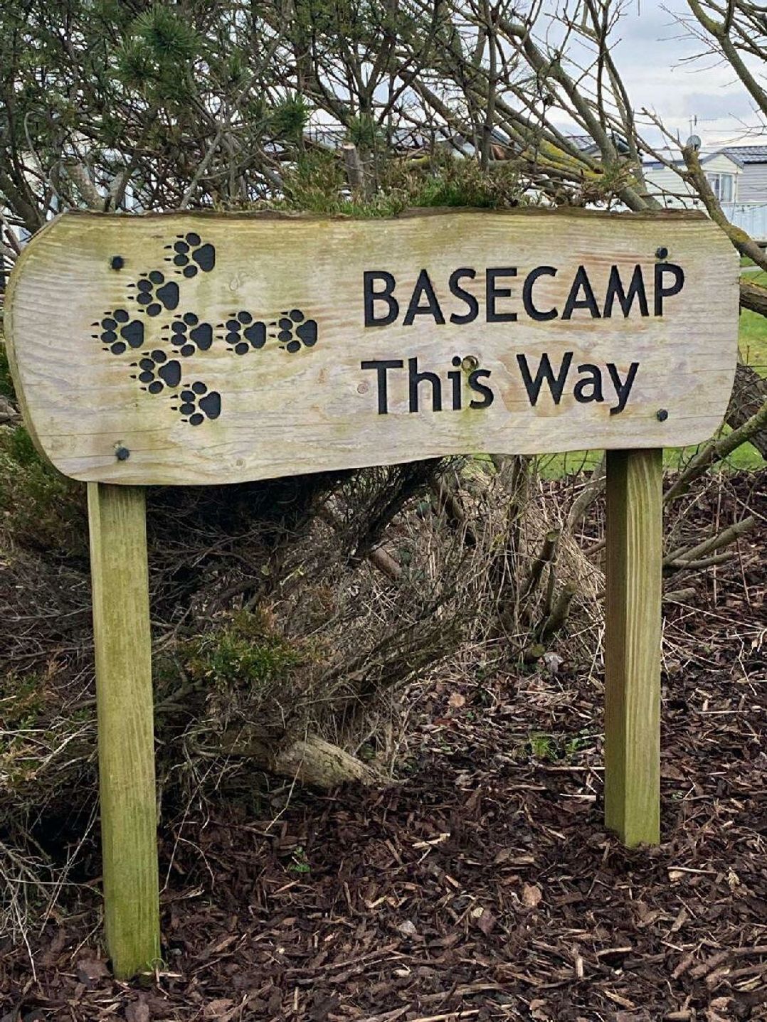 Cayton Bay Caravan Park - Holiday Accommodation 21469