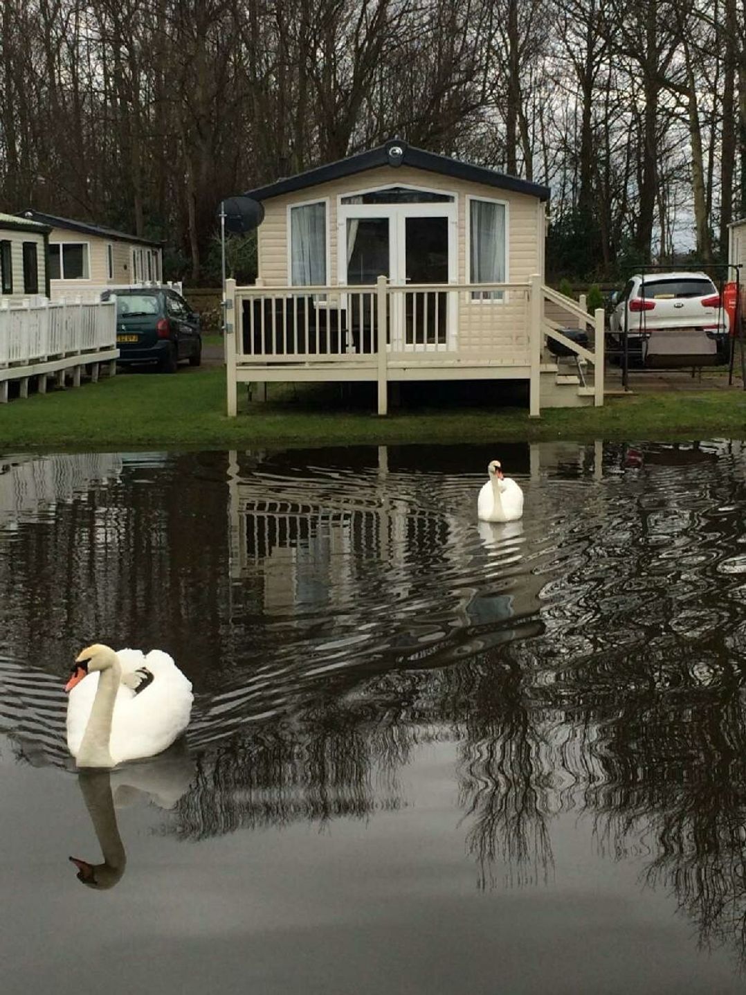 Haggerston Castle - Holiday Accommodation 21480