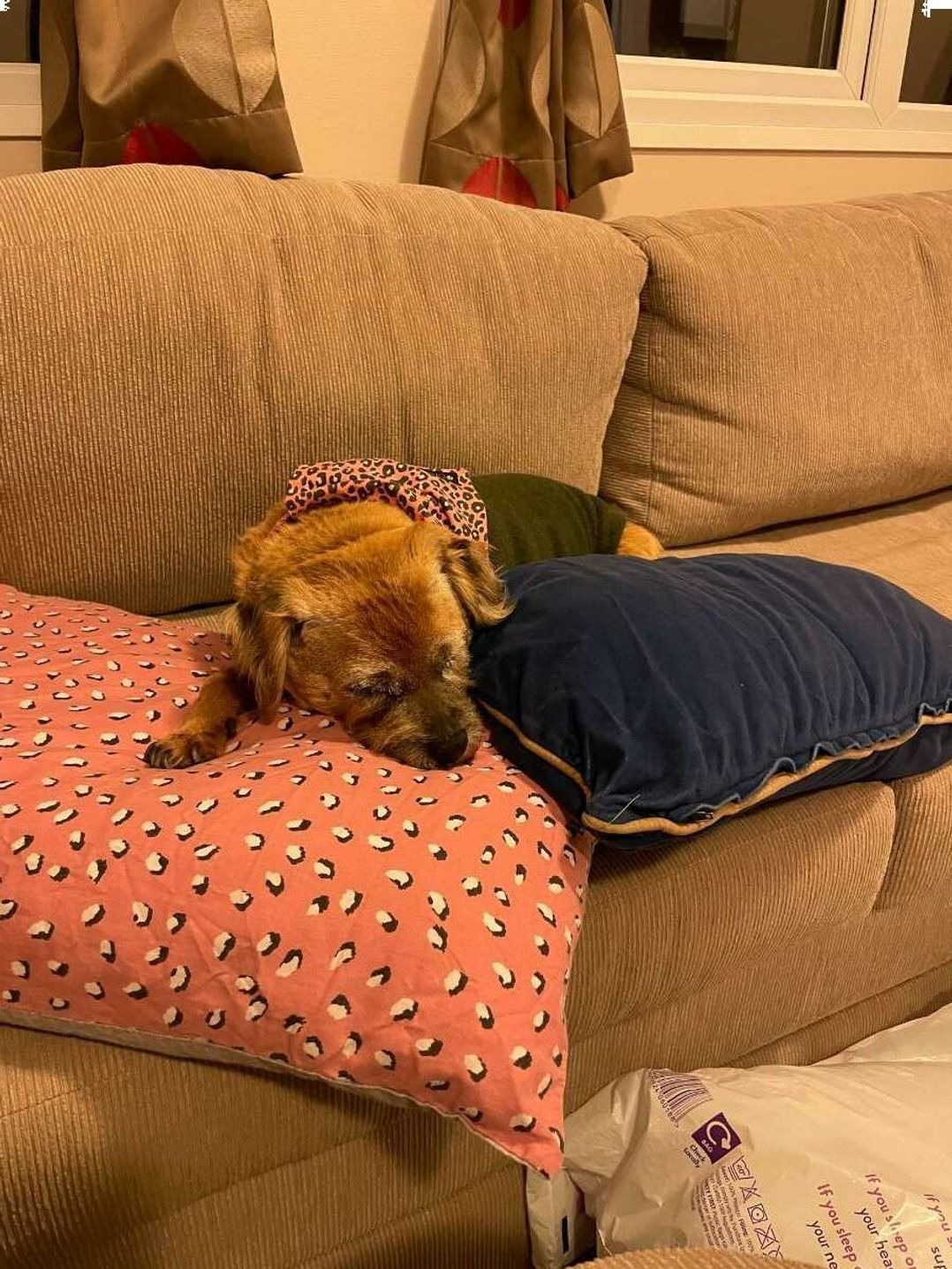 Challaborough Bay Holiday Park - Holiday Accommodation 21557