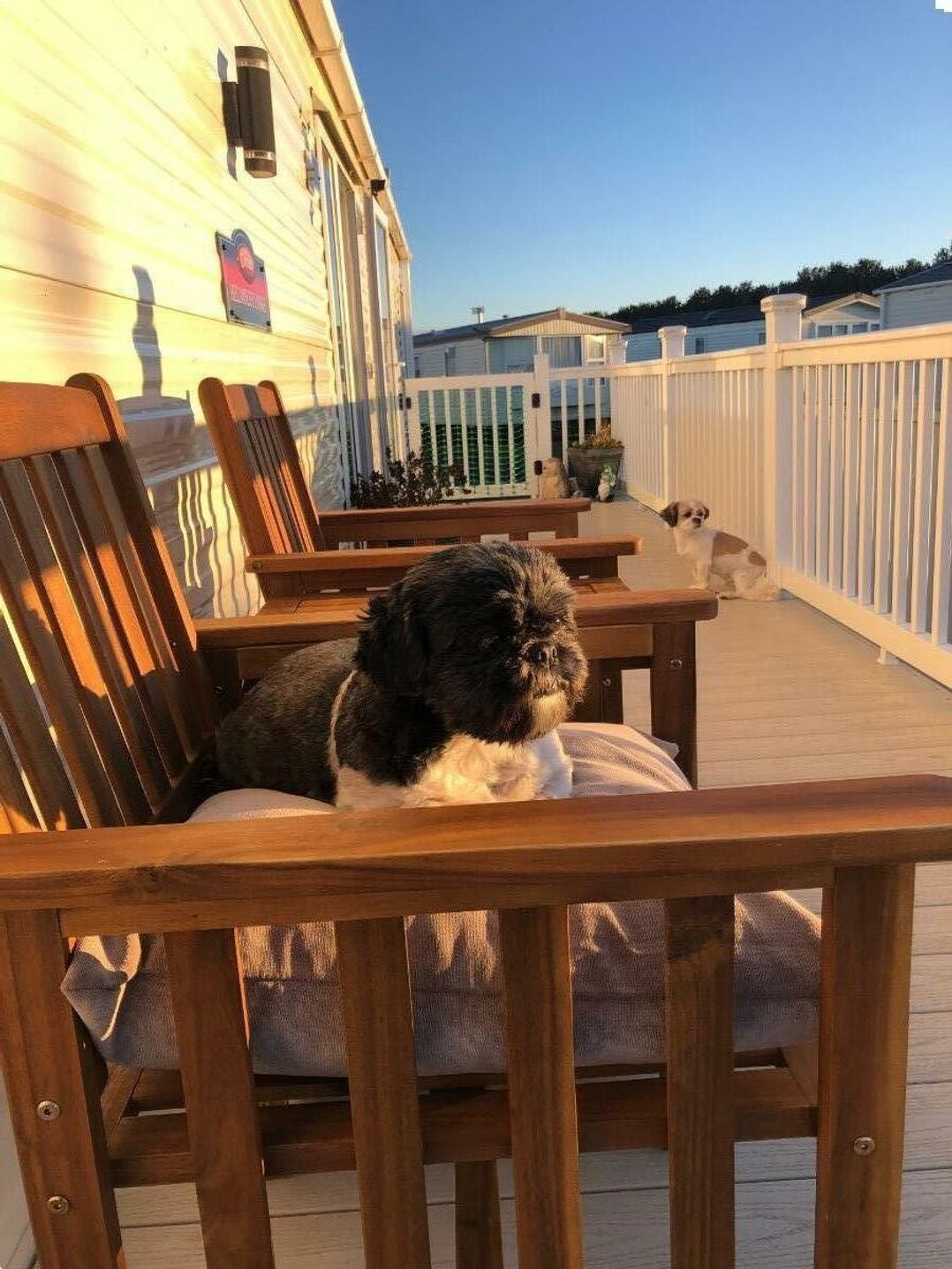 Eyemouth Holiday Park - Holiday Accommodation 21591