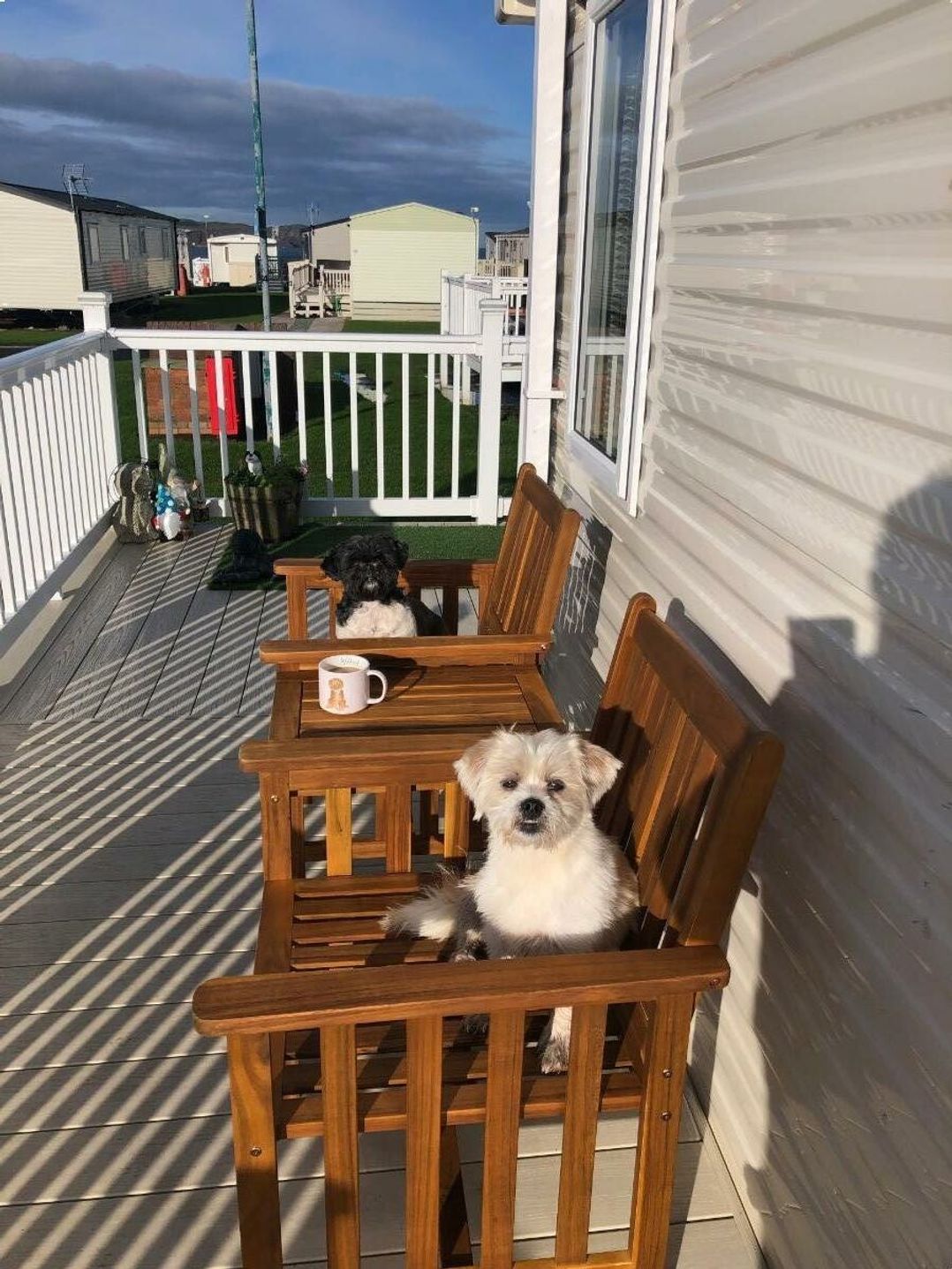 Eyemouth Holiday Park - Holiday Accommodation 21591