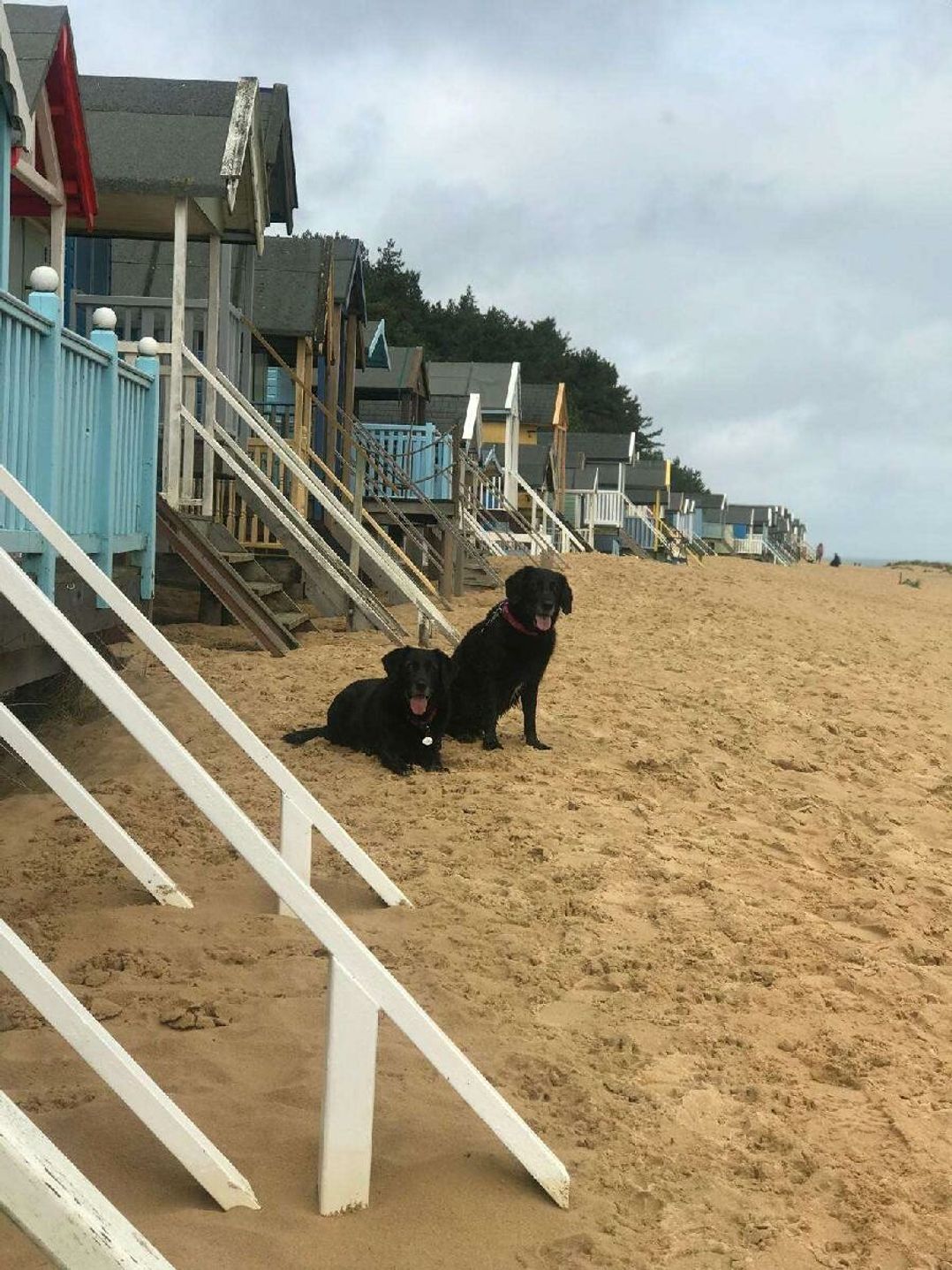 Pinewoods Holiday Park - Holiday Accommodation 21638