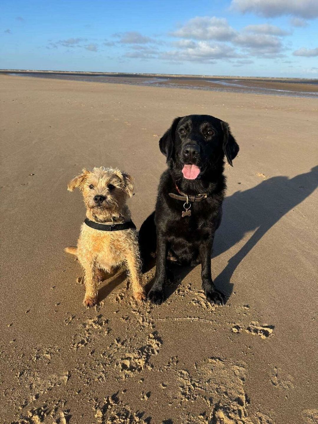 Pinewoods Holiday Park - Holiday Accommodation 21638