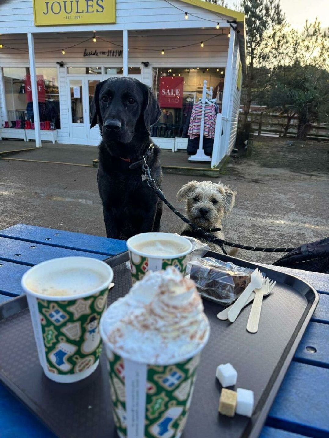 Pinewoods Holiday Park - Holiday Accommodation 21638