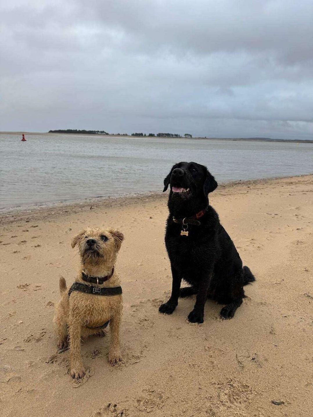 Pinewoods Holiday Park - Holiday Accommodation 21638