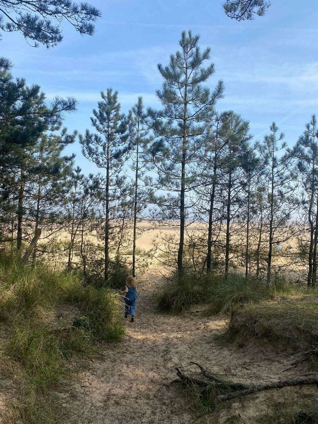 Pinewoods Holiday Park - Holiday Accommodation 21638