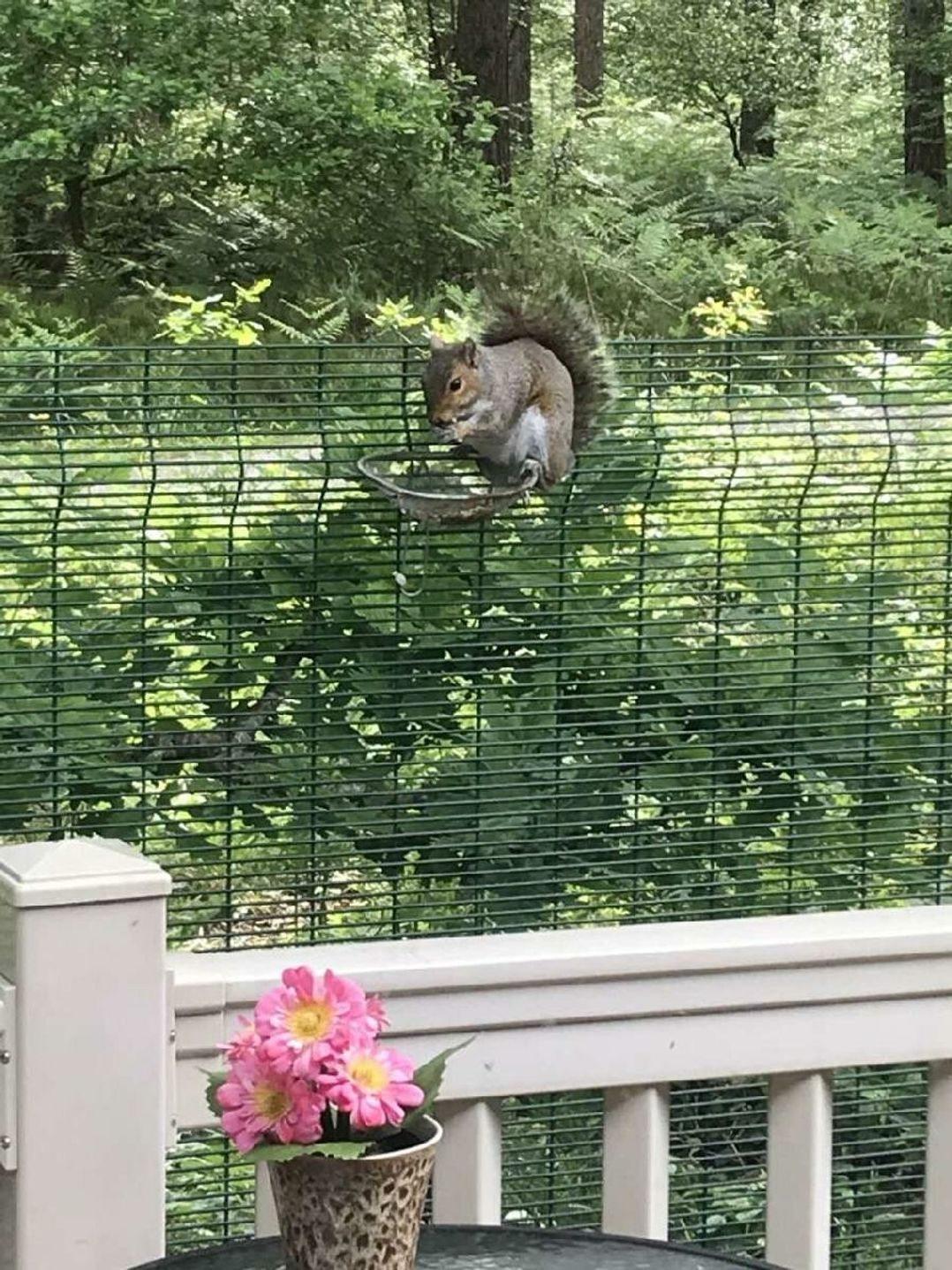 Oakdene Forest Park - Holiday Accommodation 21736