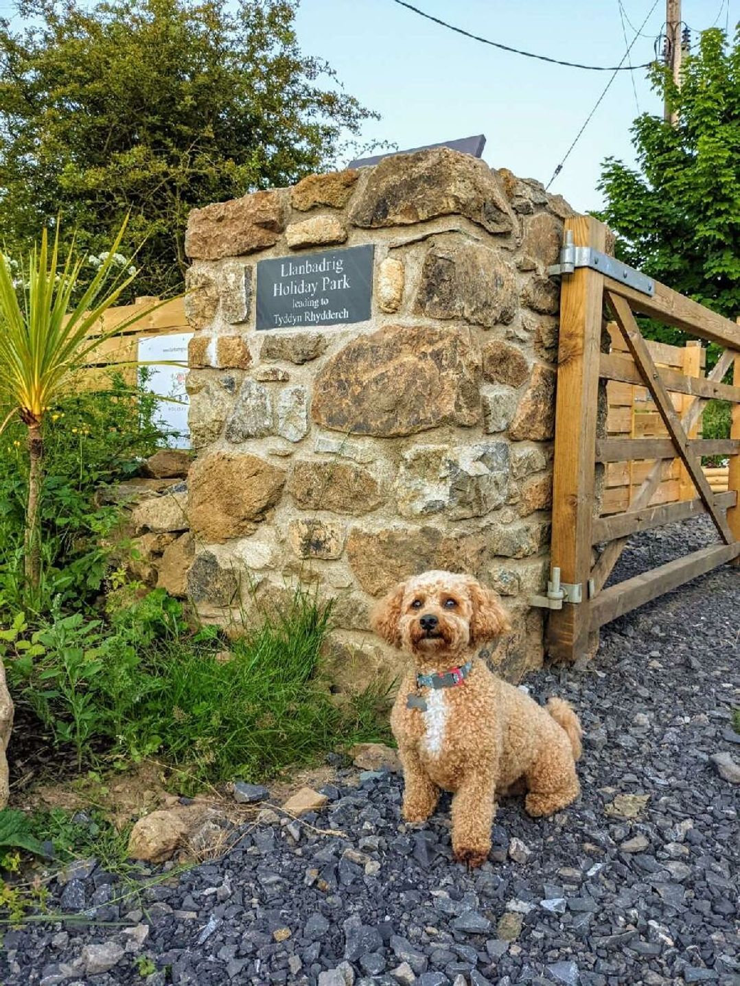 Llanbadrig Holiday Park - Holiday Accommodation 21746