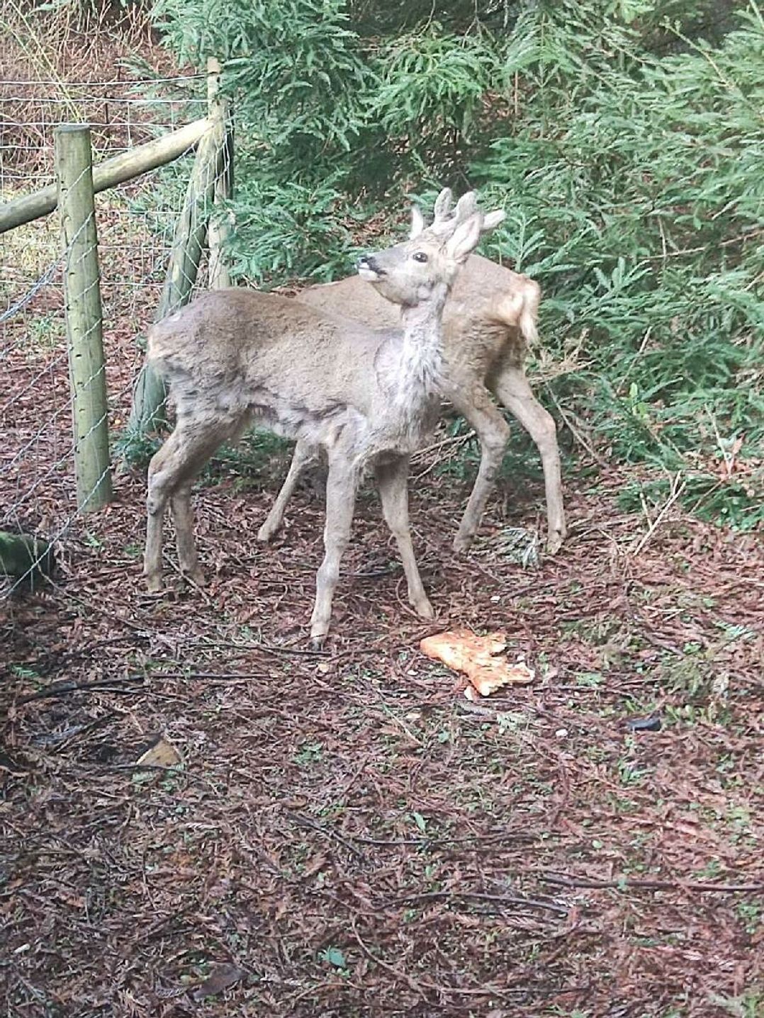 Ocean Edge Leisure Park - Holiday Accommodation 21929