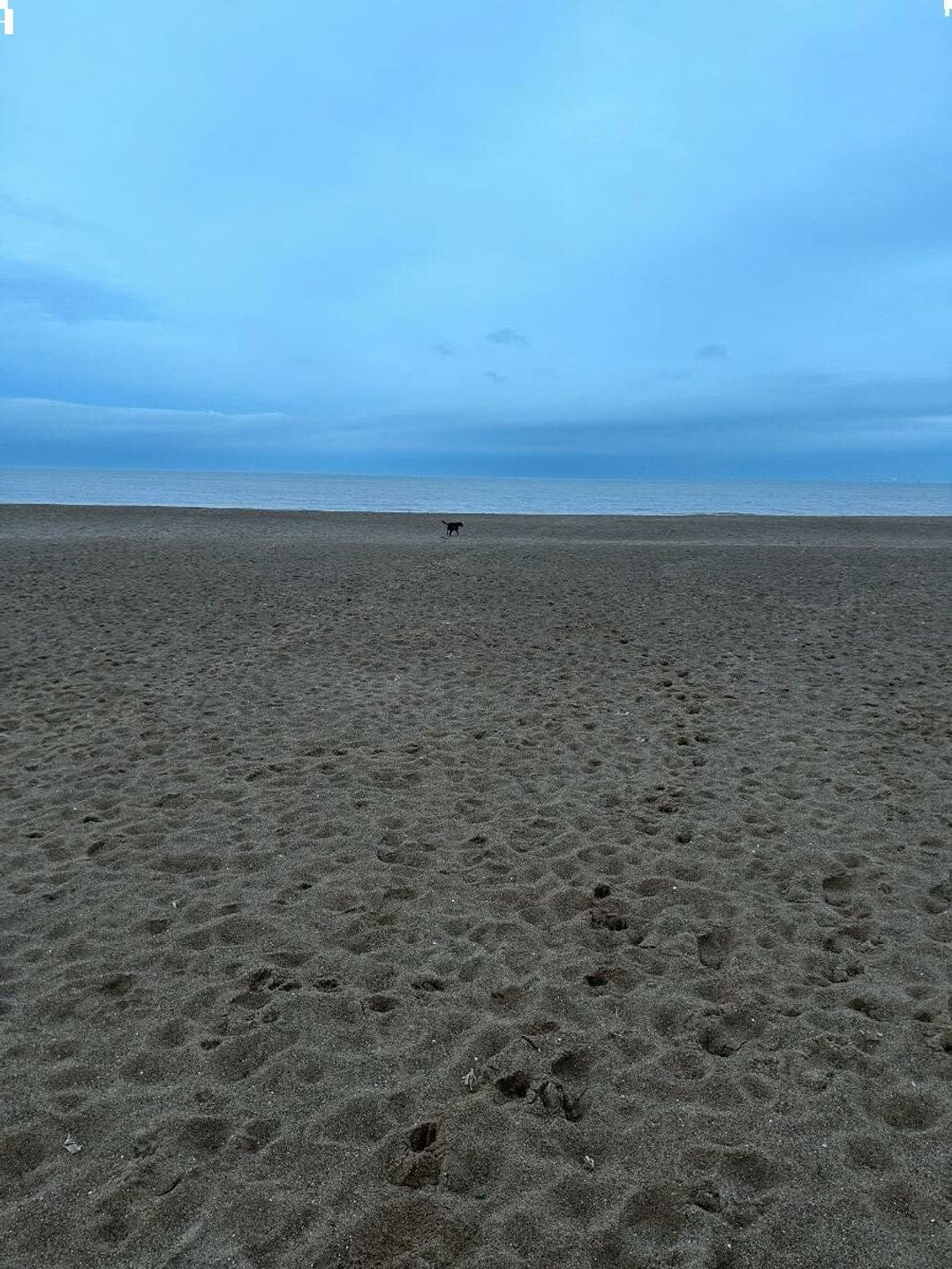 Merryfield and Sandfield Holiday Park - Holiday Accommodation 21964