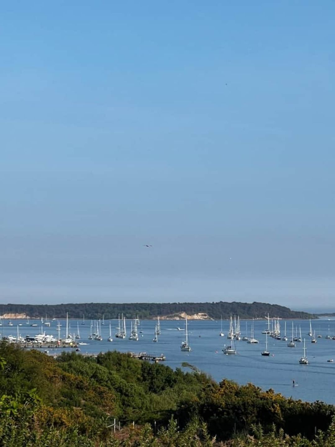 Rockley Park - Holiday Accommodation 22009