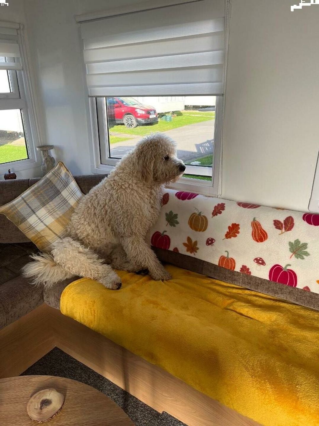 Lido Beach Holiday Park - Holiday Accommodation 22020