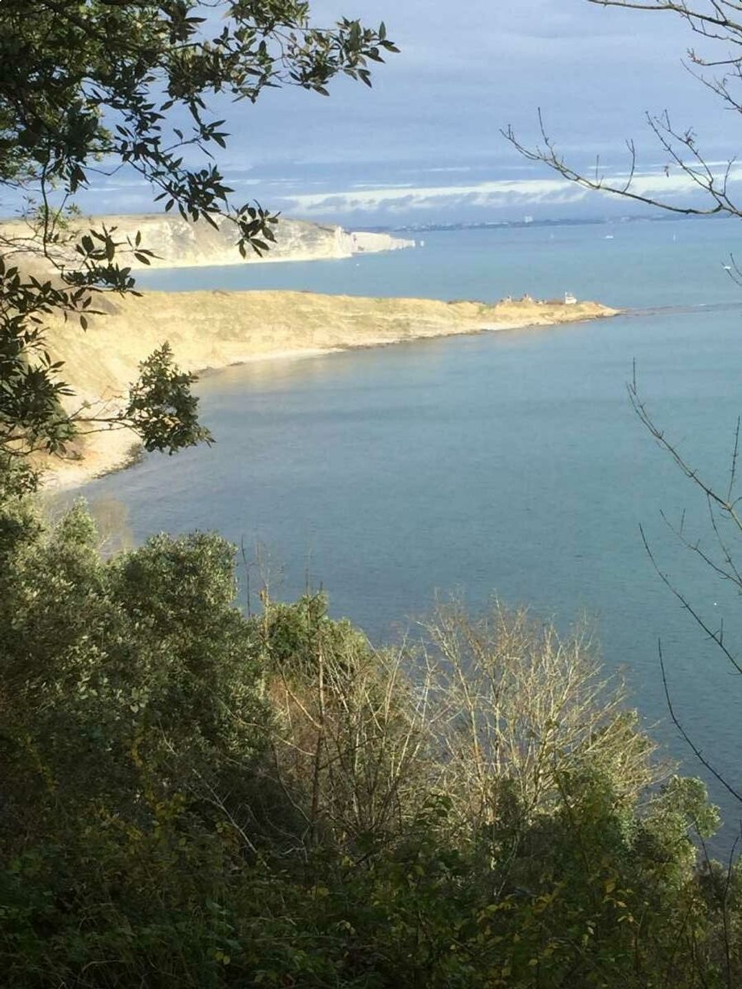 Swanage Bay View - Holiday Accommodation 22045