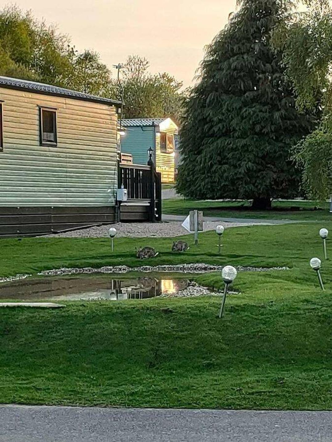 Springhouse Country Park - Holiday Accommodation 22054