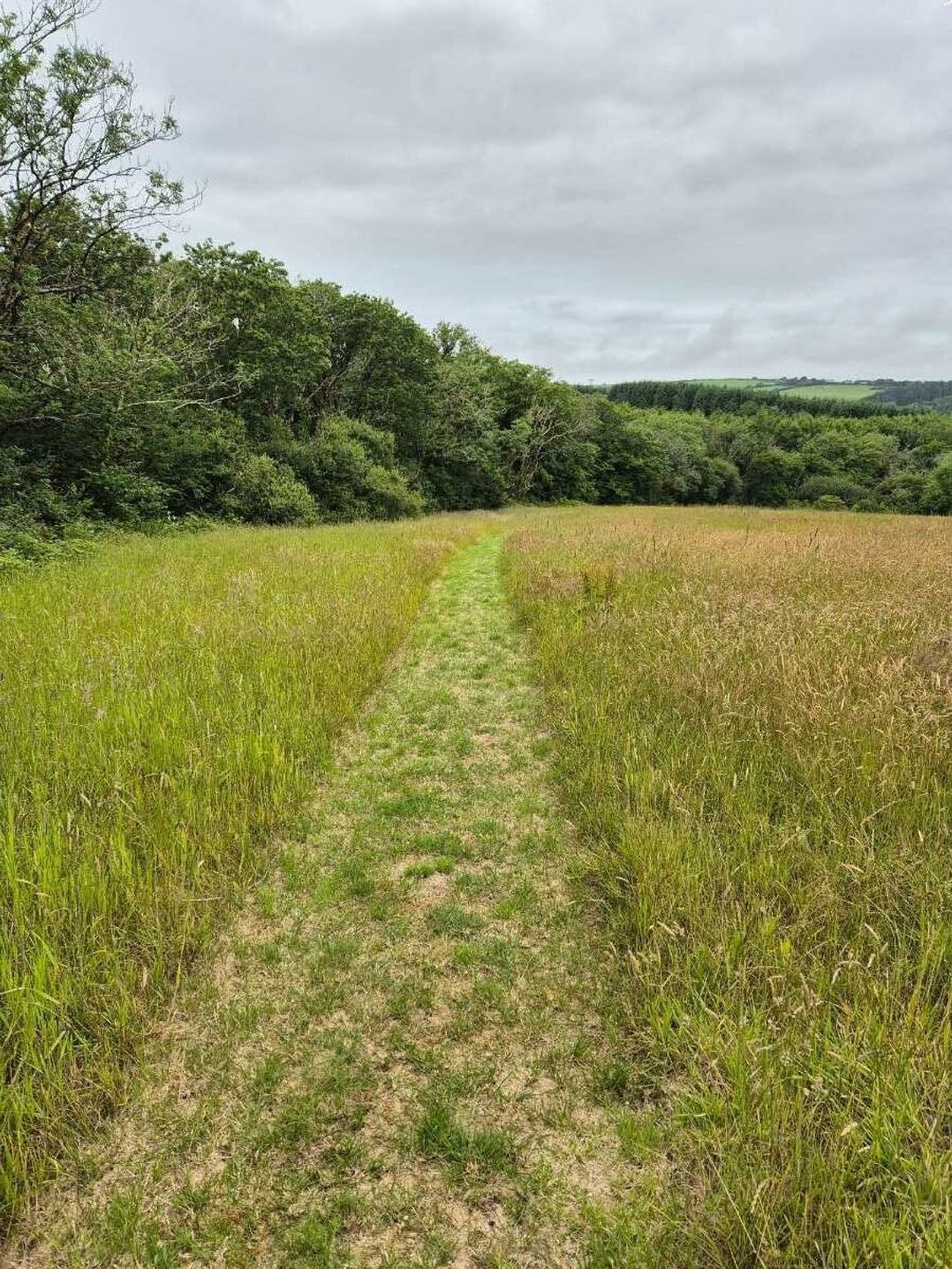 Pentire Costal Holiday Park - Holiday Accommodation 22118