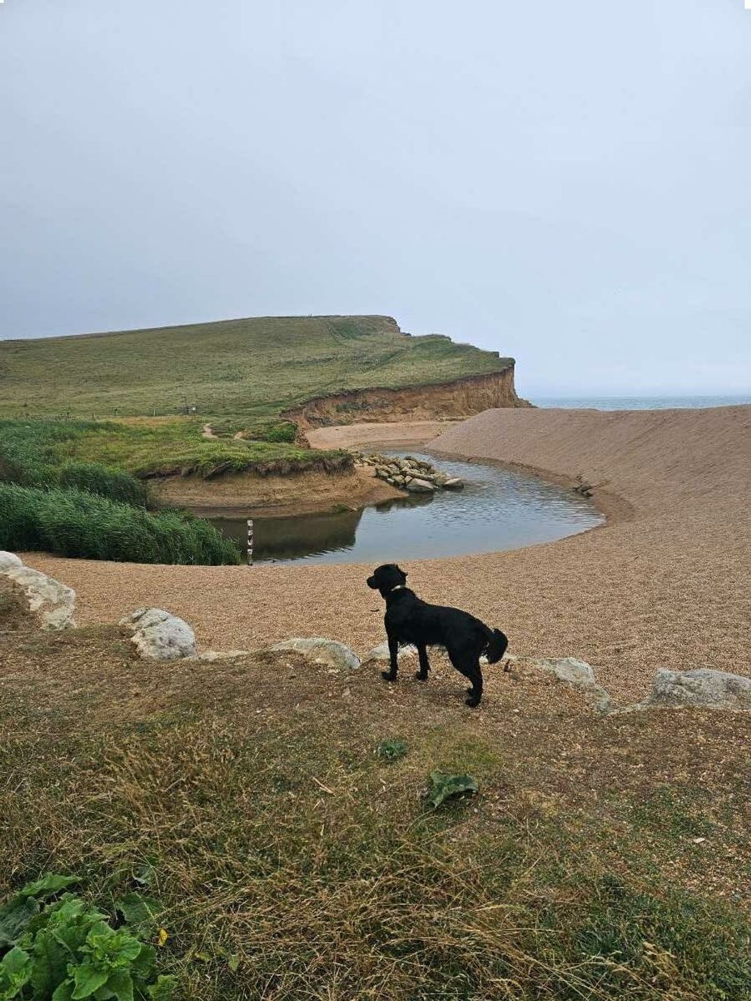 Freshwater Beach Holiday Park - Holiday Accommodation 22163