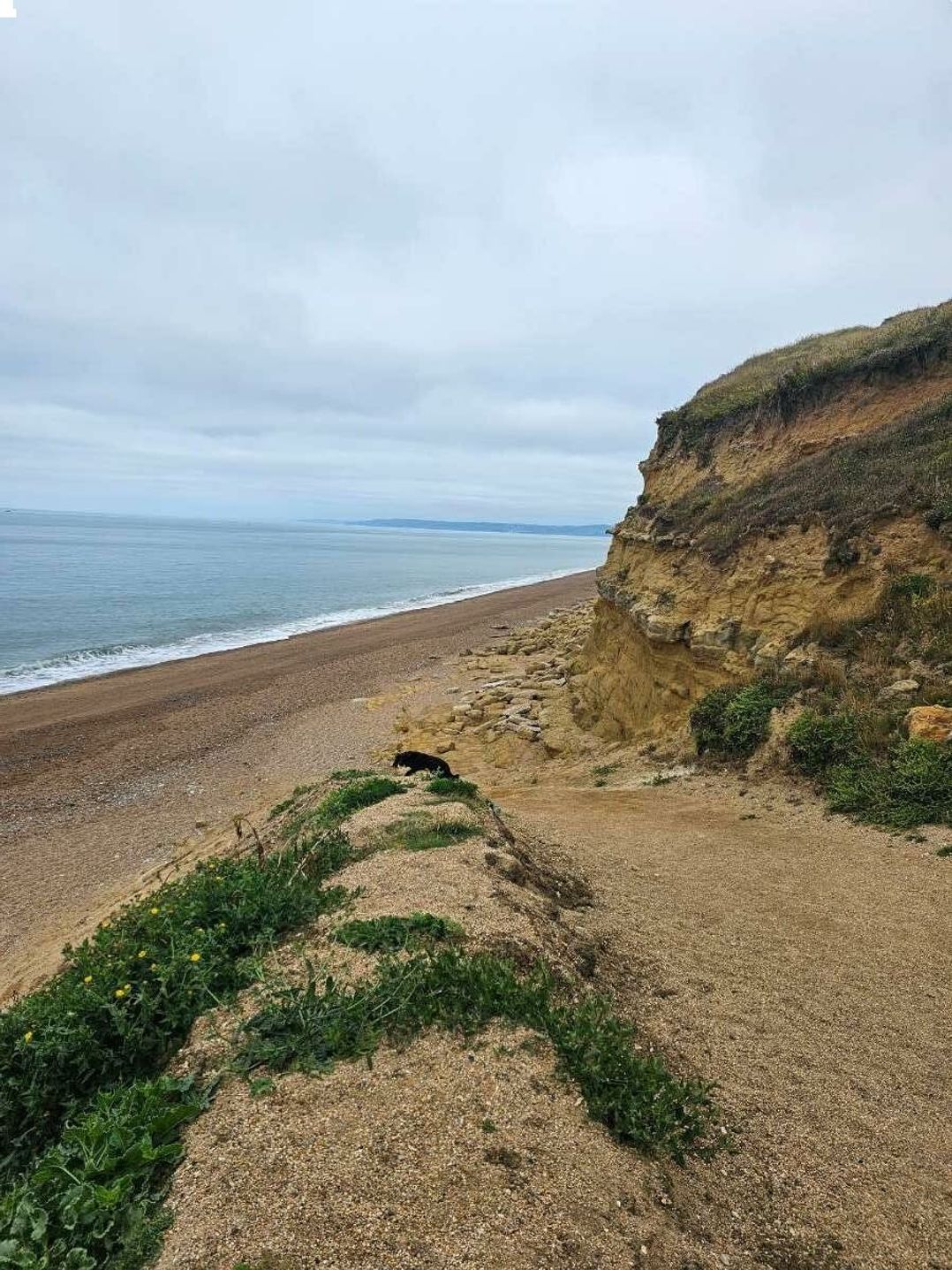 Freshwater Beach Holiday Park - Holiday Accommodation 22163