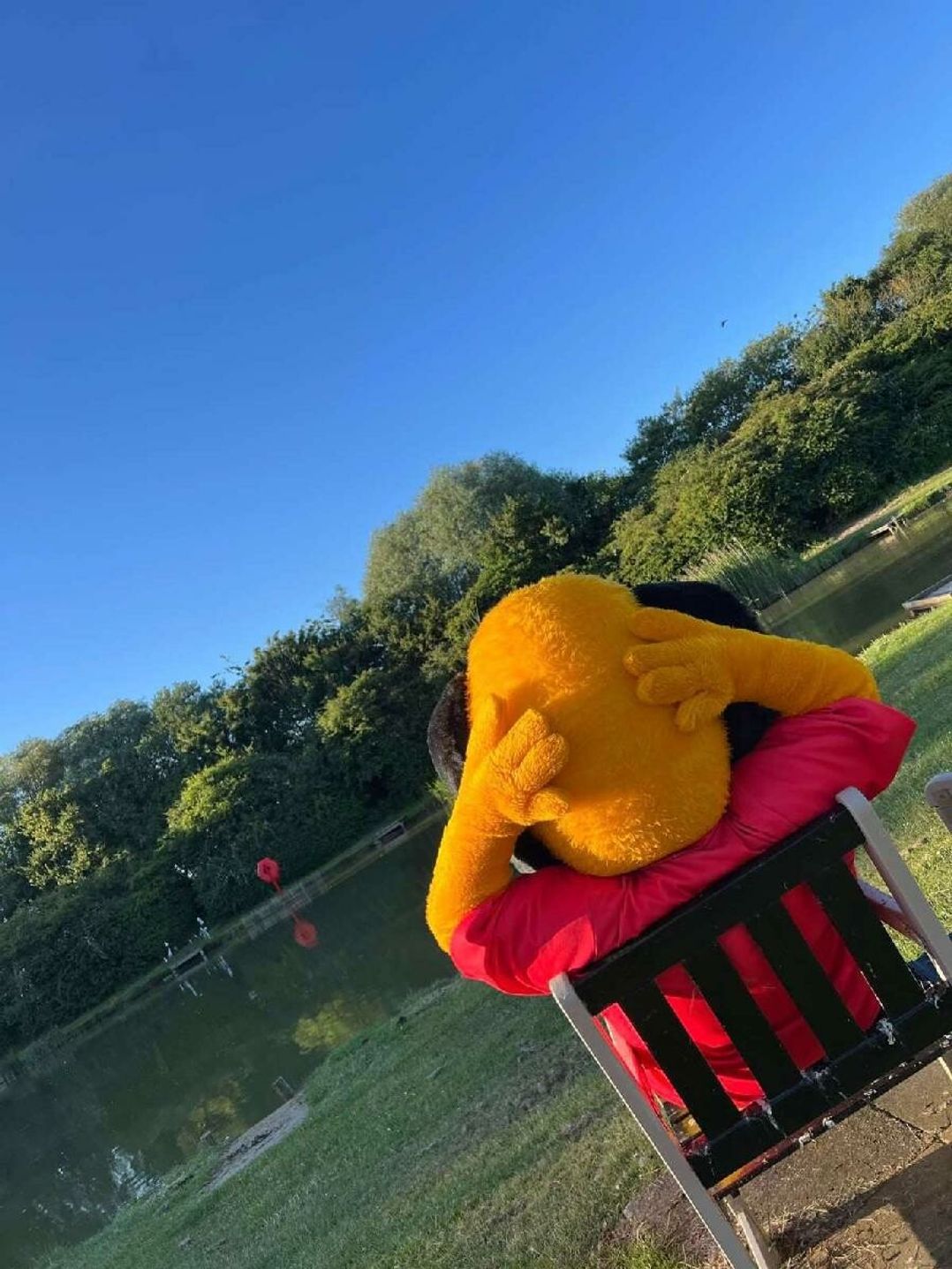 Golden Palm Resort - Holiday Accommodation 22168