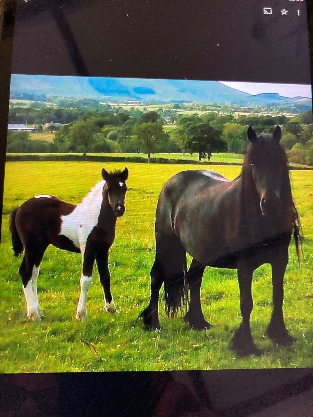 Fell Valley View (private land) - Holiday Accommodation 22240