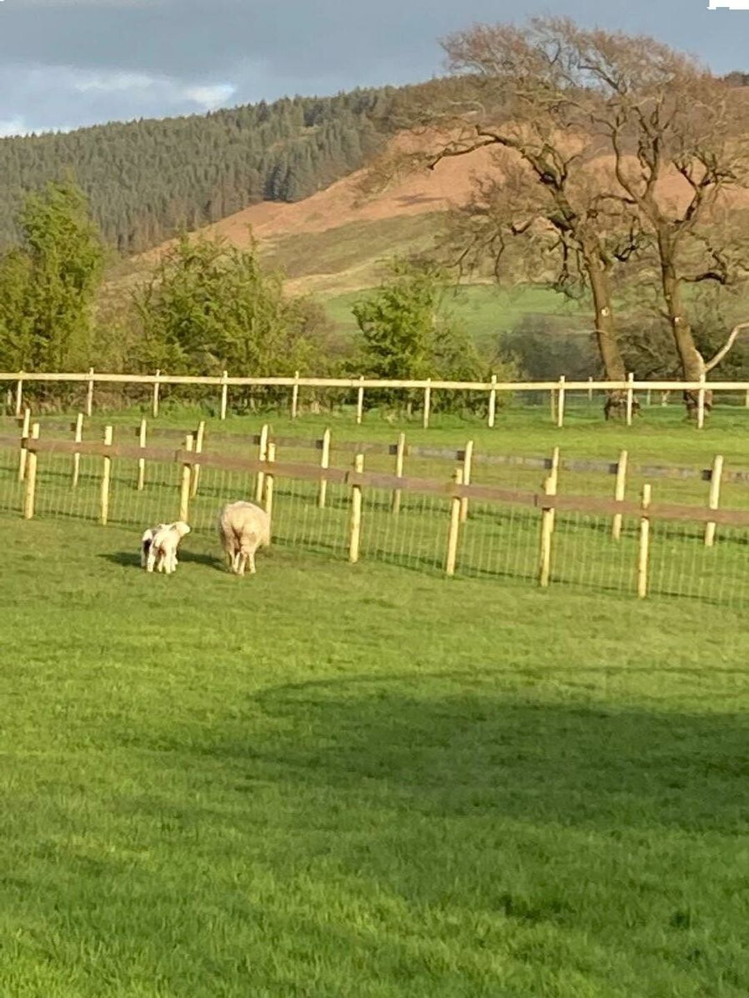 Fell Valley View (private land) - Holiday Accommodation 22240